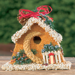 Edible Birdhouses